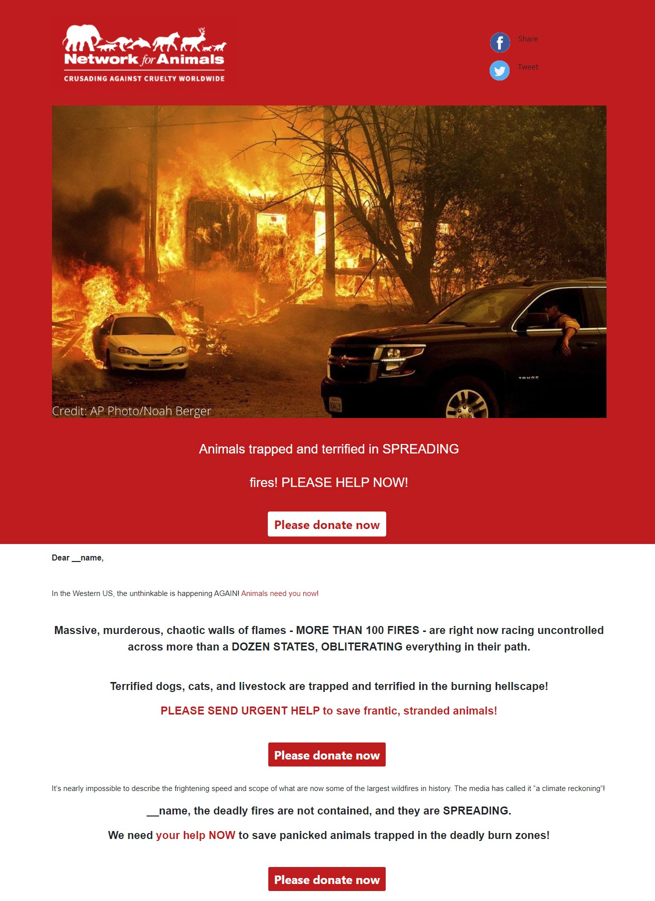 Network for Animals, CRM